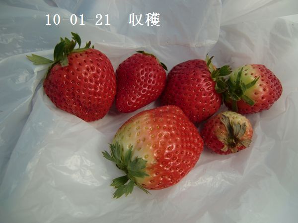 c0126271_18124431.jpg