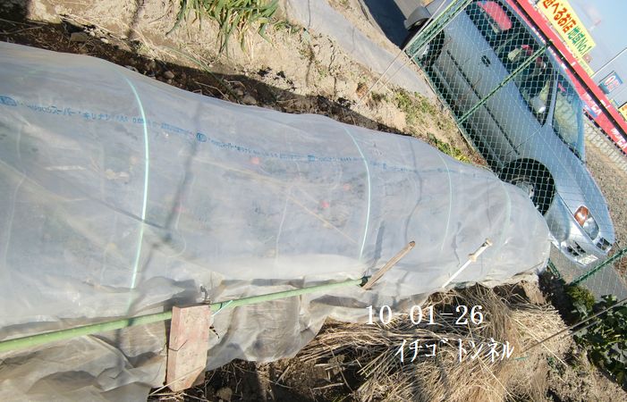 c0126271_18161039.jpg