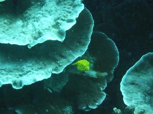 d0041074_1255132.jpg