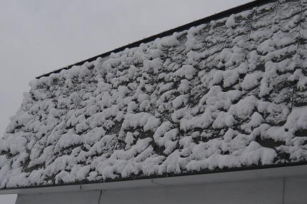 c0175679_9321667.jpg