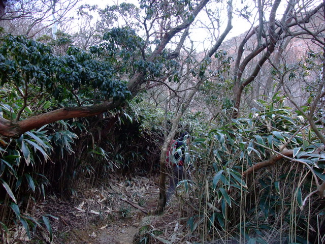 a0043982_2342818.jpg