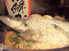 f0091282_23382327.jpg