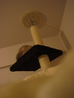 c0207189_22381416.jpg