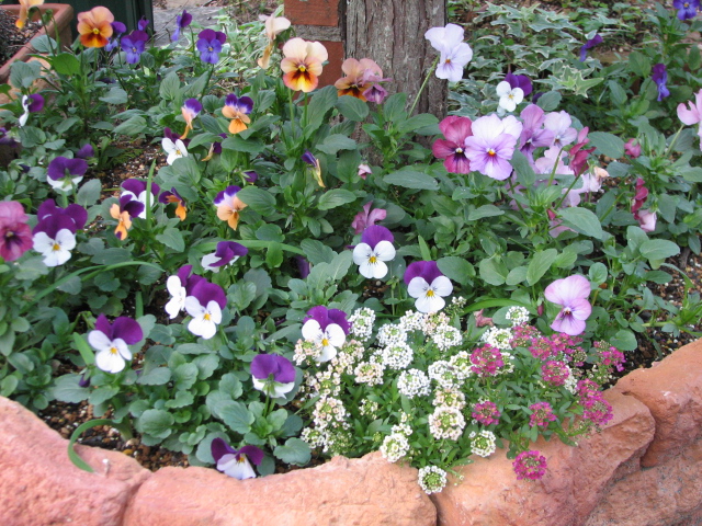 e0052690_12191357.jpg