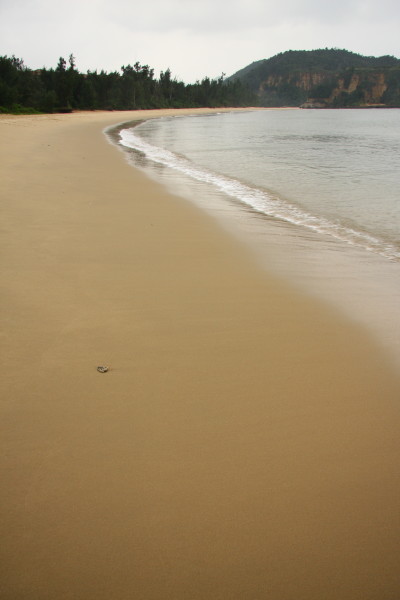e0122193_1182291.jpg