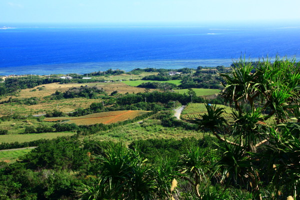 e0122193_12297.jpg