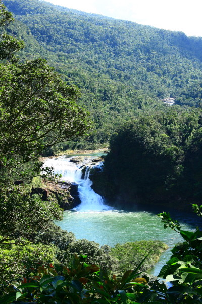 e0122193_2461514.jpg
