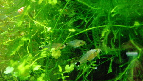 c0147699_12122022.jpg