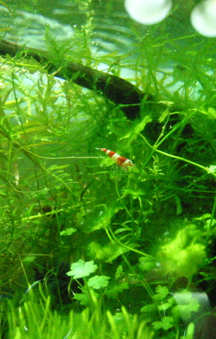 c0147699_12123128.jpg