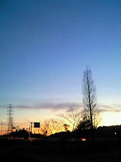 f0114900_1922577.jpg