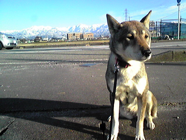 f0079202_1602930.jpg