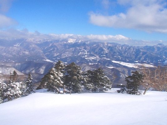 c0195804_9354482.jpg