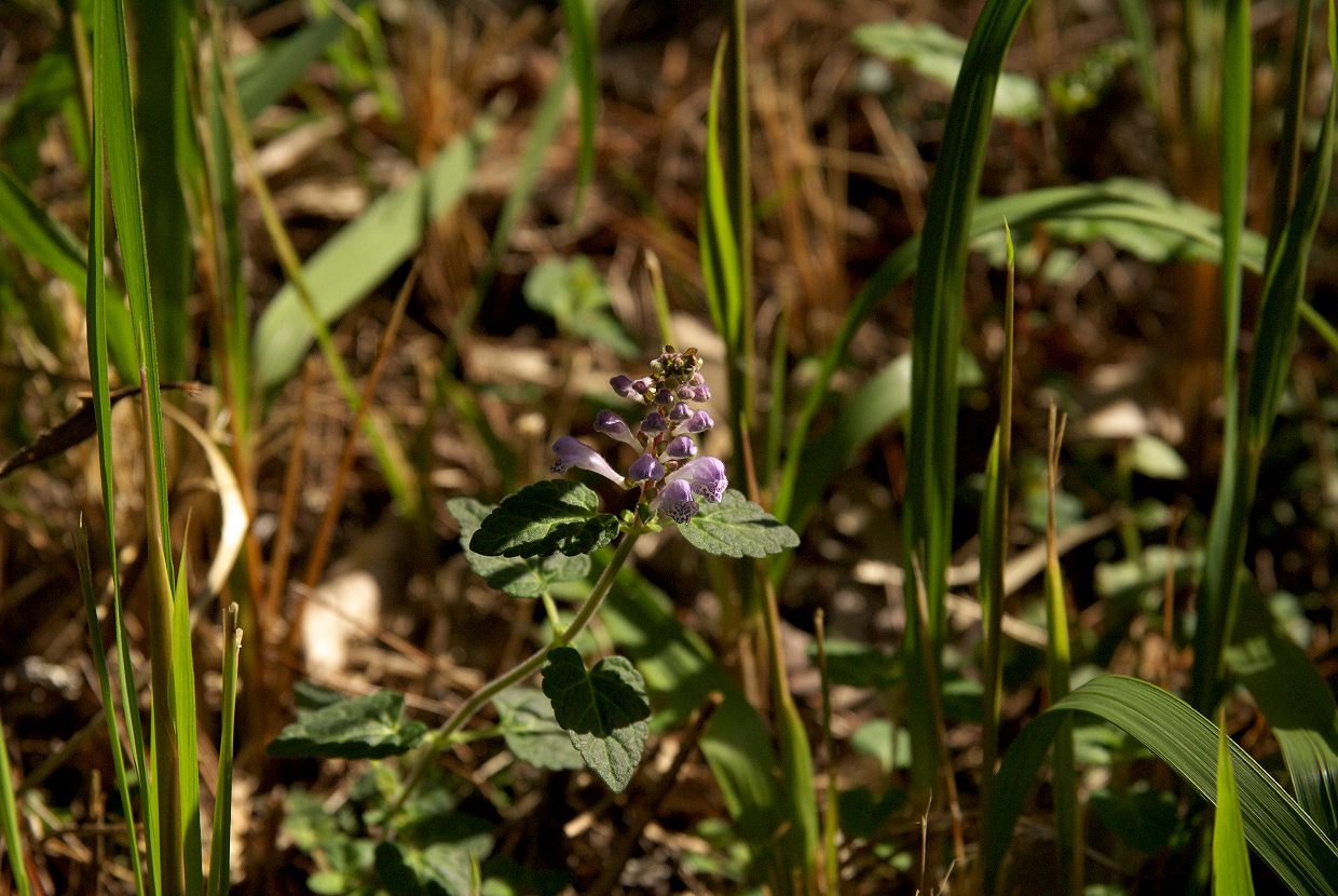 b0174905_6425515.jpg