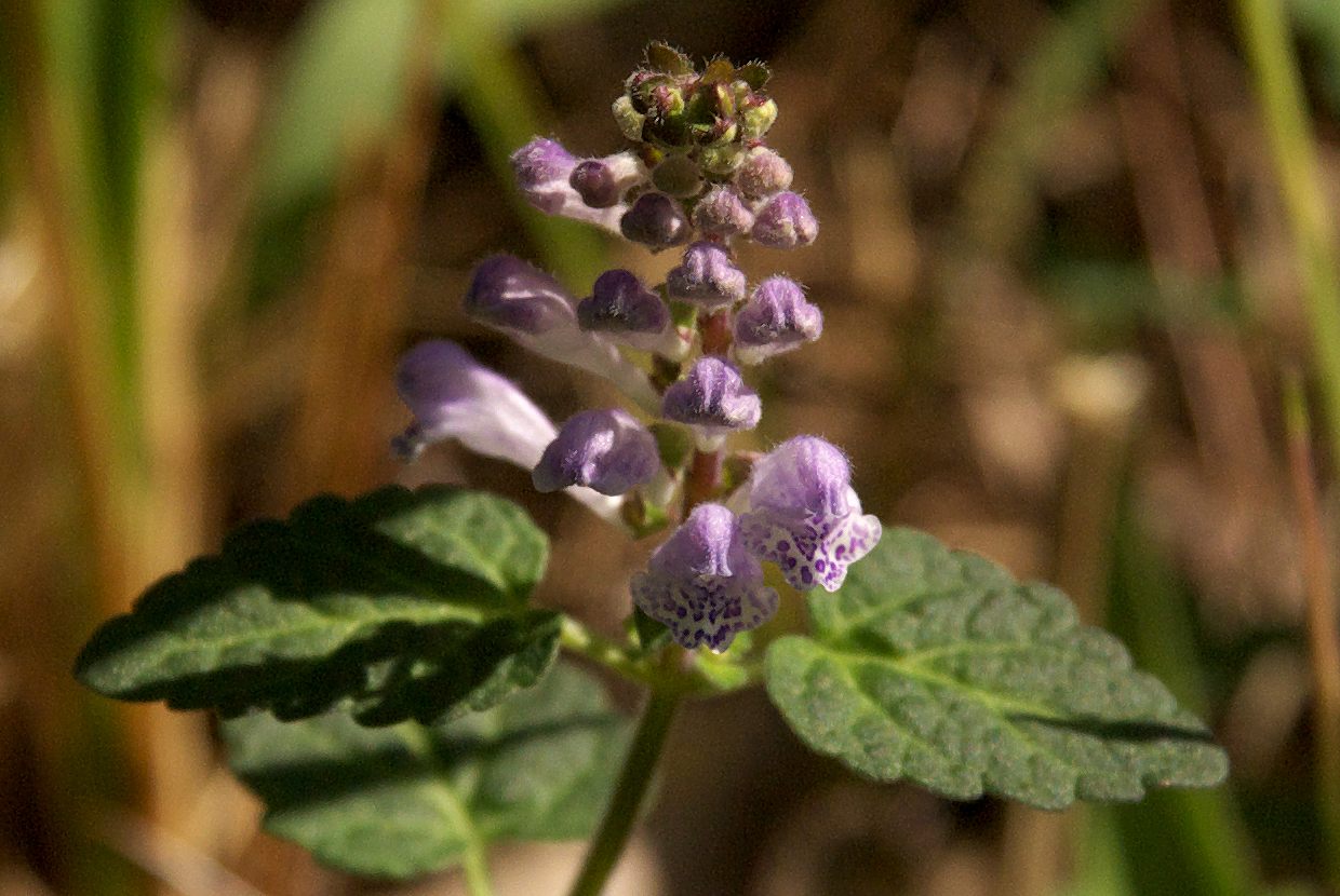 b0174905_643572.jpg