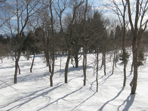e0065906_22474675.jpg