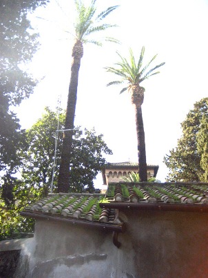 b0184810_13442561.jpg