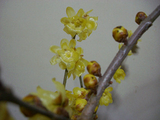 b0168412_225050100.jpg