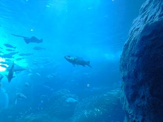 c0209312_13264627.jpg