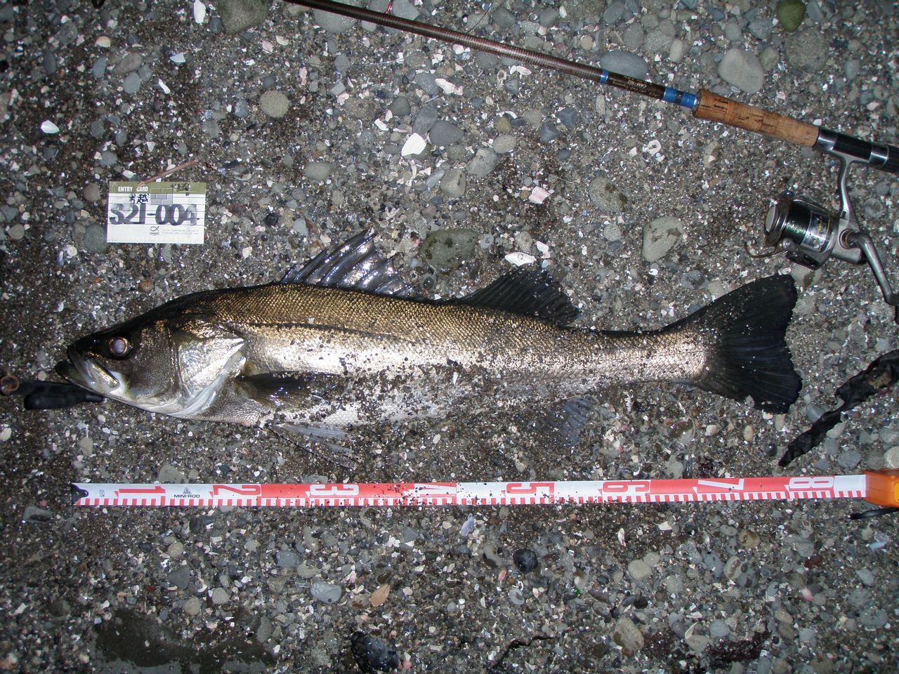 a0153216_1452918.jpg