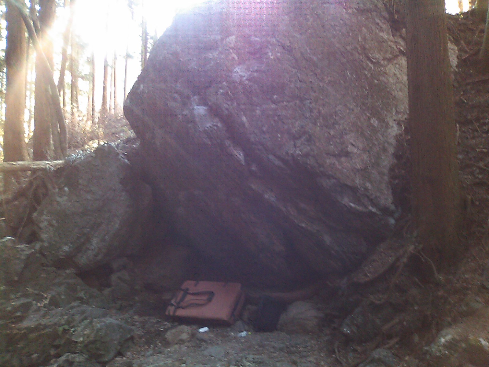c0210618_1545557.jpg