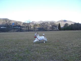 a0089120_15212770.jpg