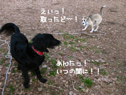 c0012120_1435205.jpg