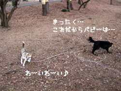 c0012120_14353483.jpg