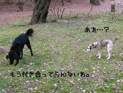 c0012120_14361663.jpg