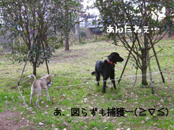 c0012120_1436329.jpg