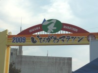 d0006323_151139.jpg