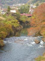 d0006323_1523783.jpg