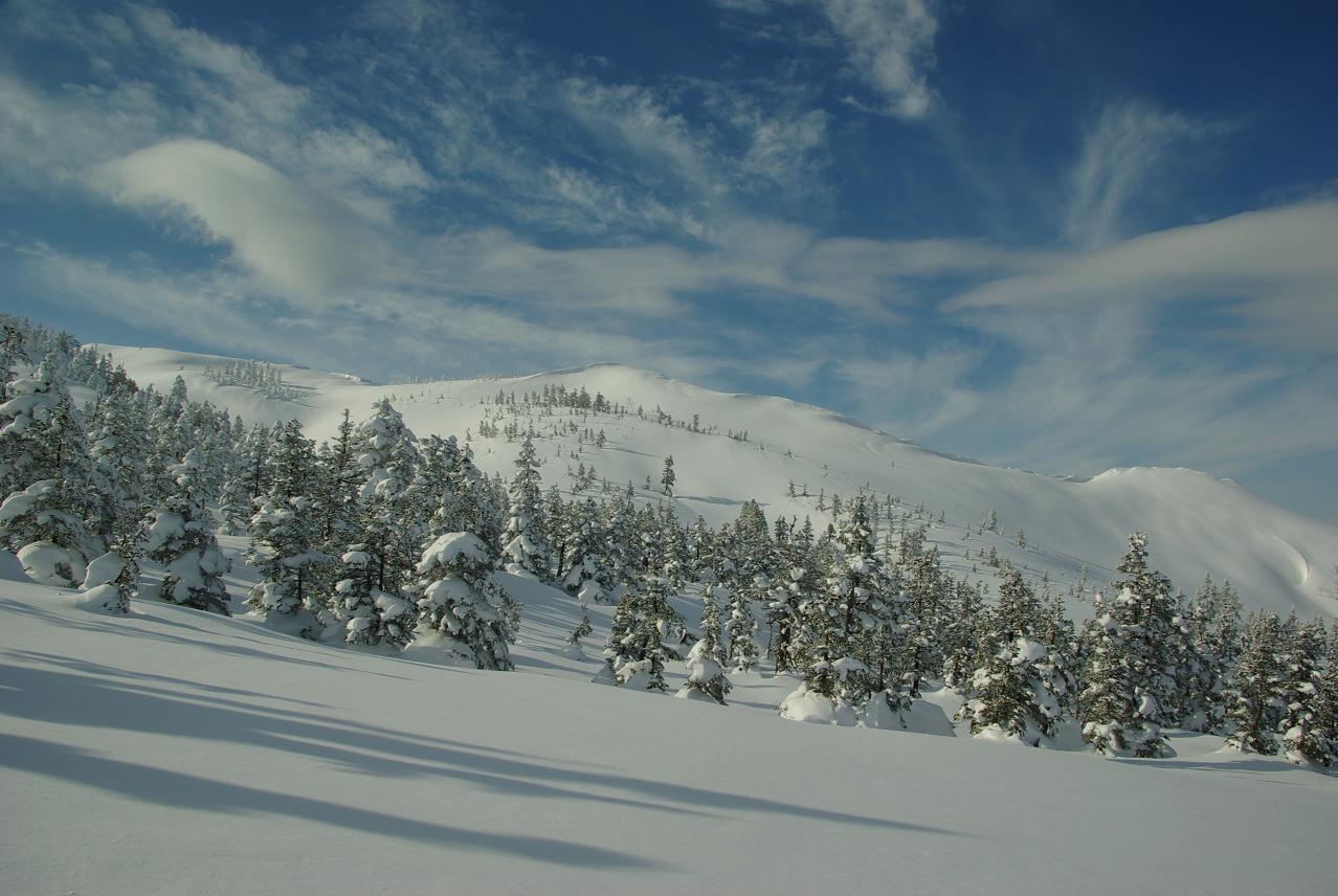b0062024_22325913.jpg