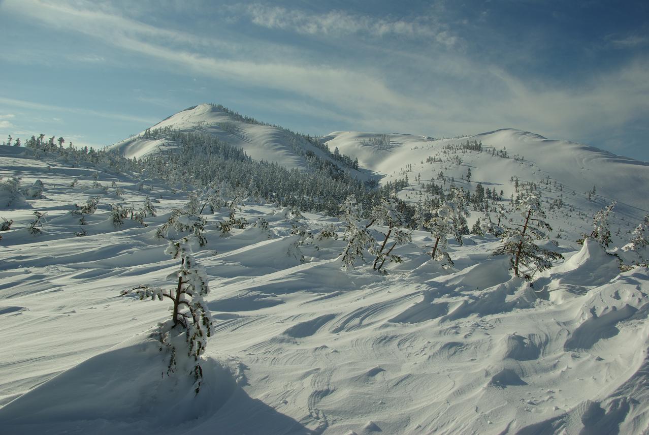 b0062024_2234652.jpg