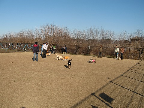 e0162524_12183615.jpg