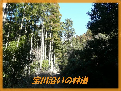 c0009528_17295924.jpg