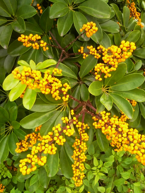a0148031_1843525.jpg