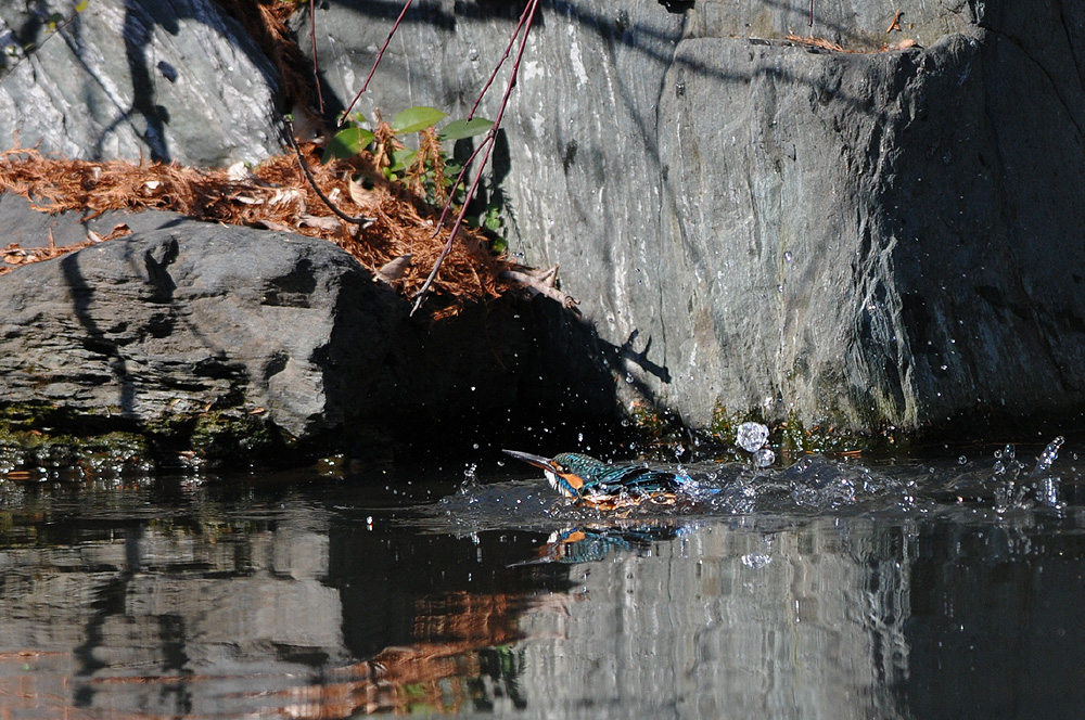 c0221838_23201569.jpg