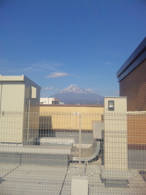 a0164341_1814938.jpg