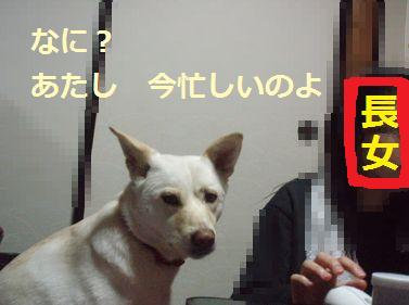 f0195543_0294237.jpg