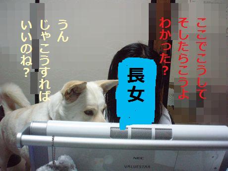 f0195543_0325913.jpg