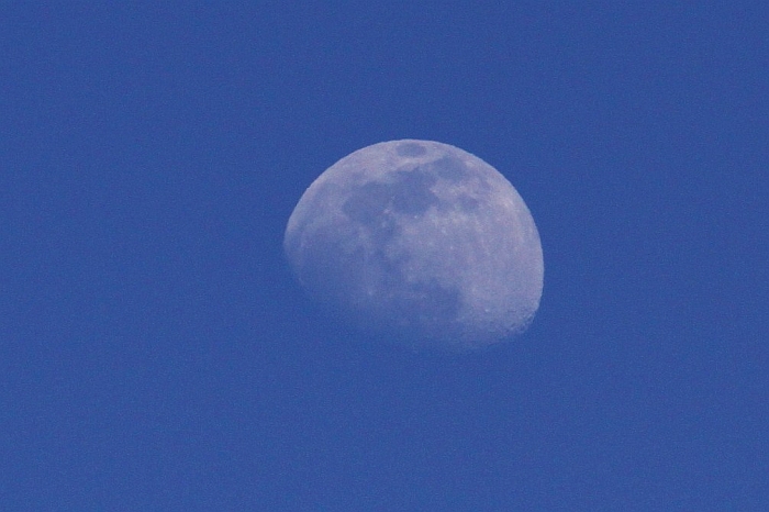 e0162444_23399.jpg