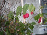 b0157246_08993.jpg