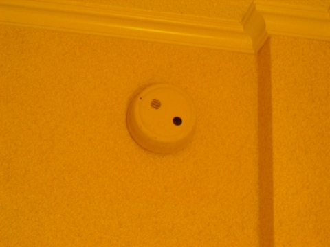 c0058052_271779.jpg