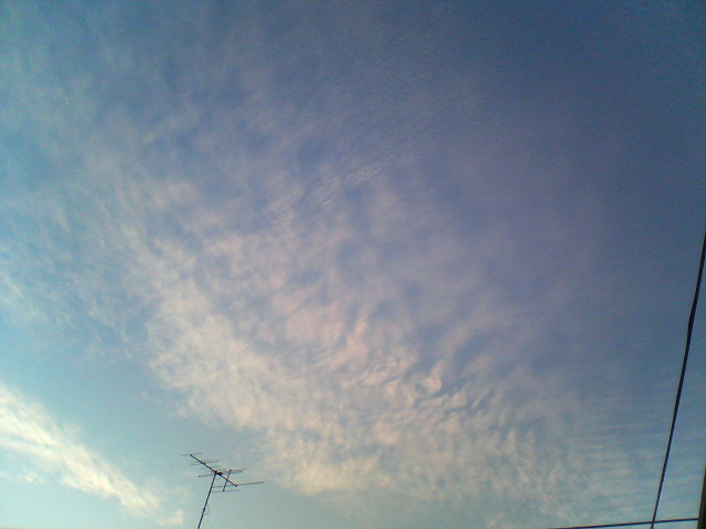 d0124952_20402218.jpg
