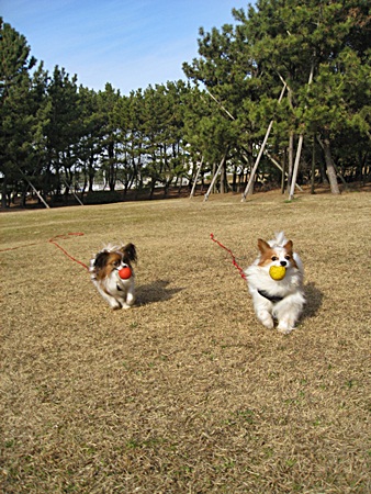 c0074156_2259581.jpg