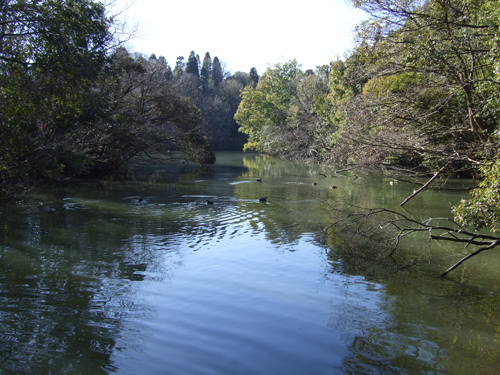 b0045357_852163.jpg