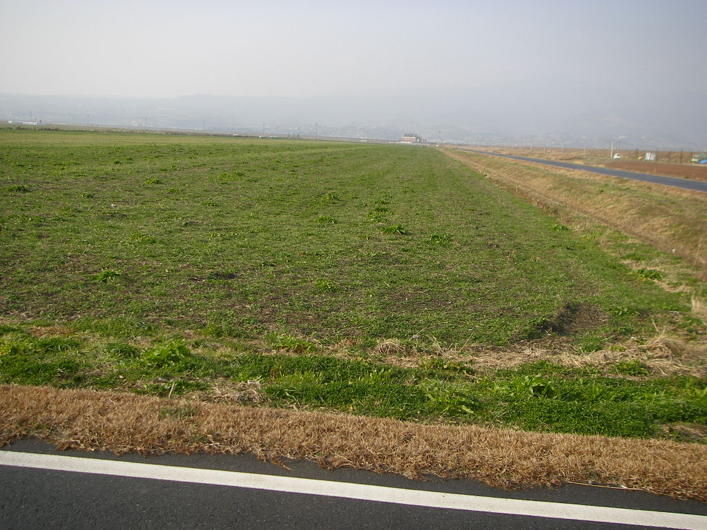e0181260_19374367.jpg