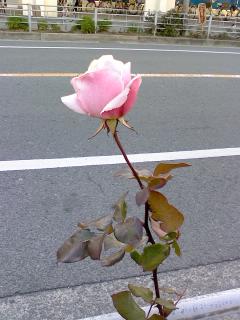 c0116072_21151733.jpg