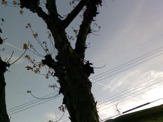c0116072_21173817.jpg