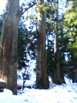 f0054677_8562210.jpg